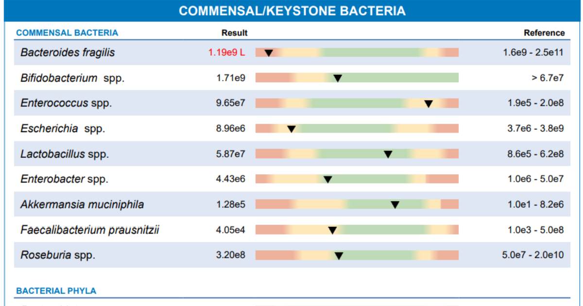 Metabolômica e saúde cerebral