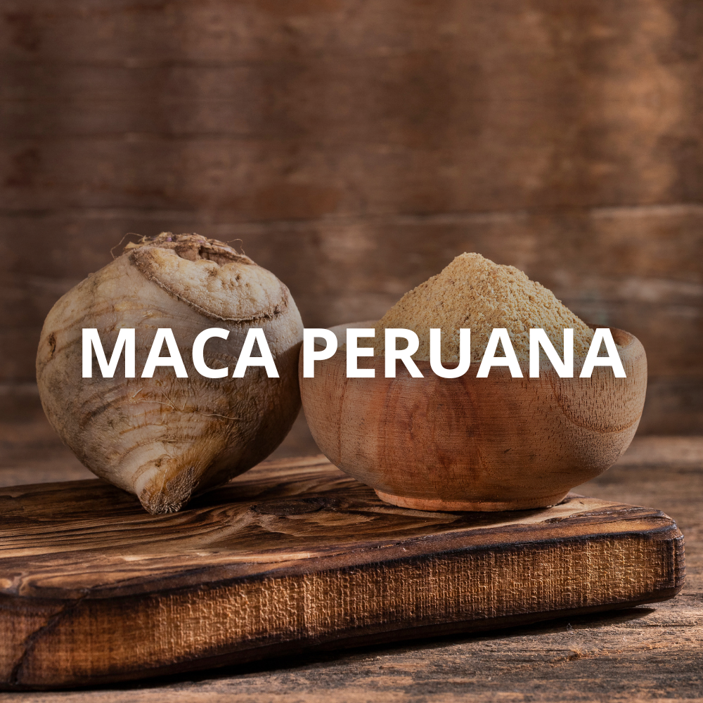 maca peruana em pó e raiz fresca