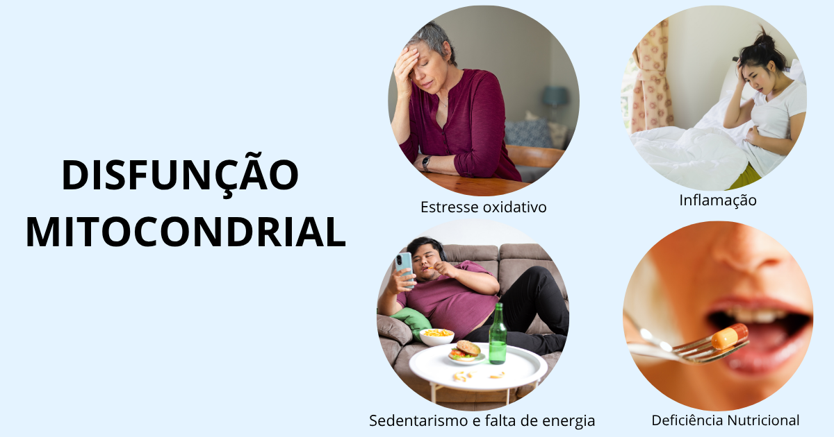 Estresse oxidativo, deficiência nutricional, inflamação, toxinas e sedentarismo causam falta de energia