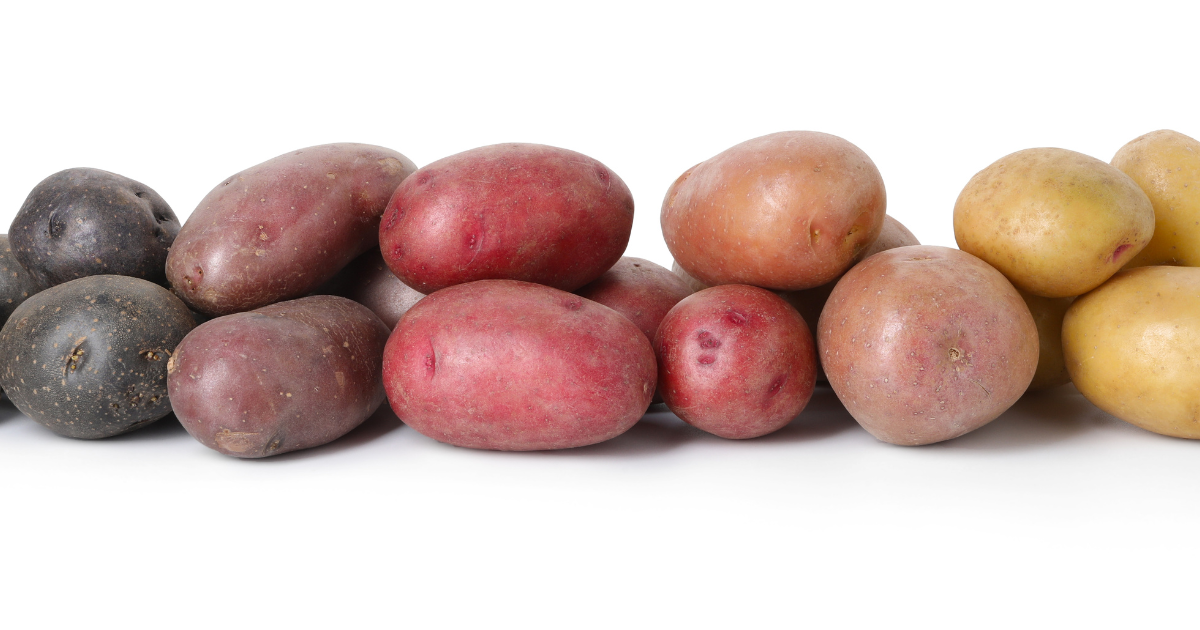 fontes alimentares de carboidratos e amilase