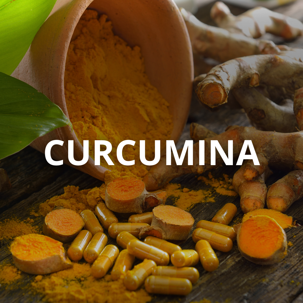 Curcumina 95% curcuminoides em cápsulas