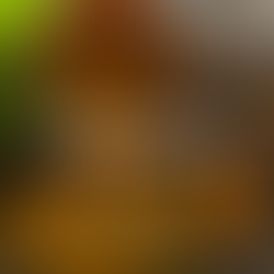 Curcumina 95% curcuminoides em cápsulas