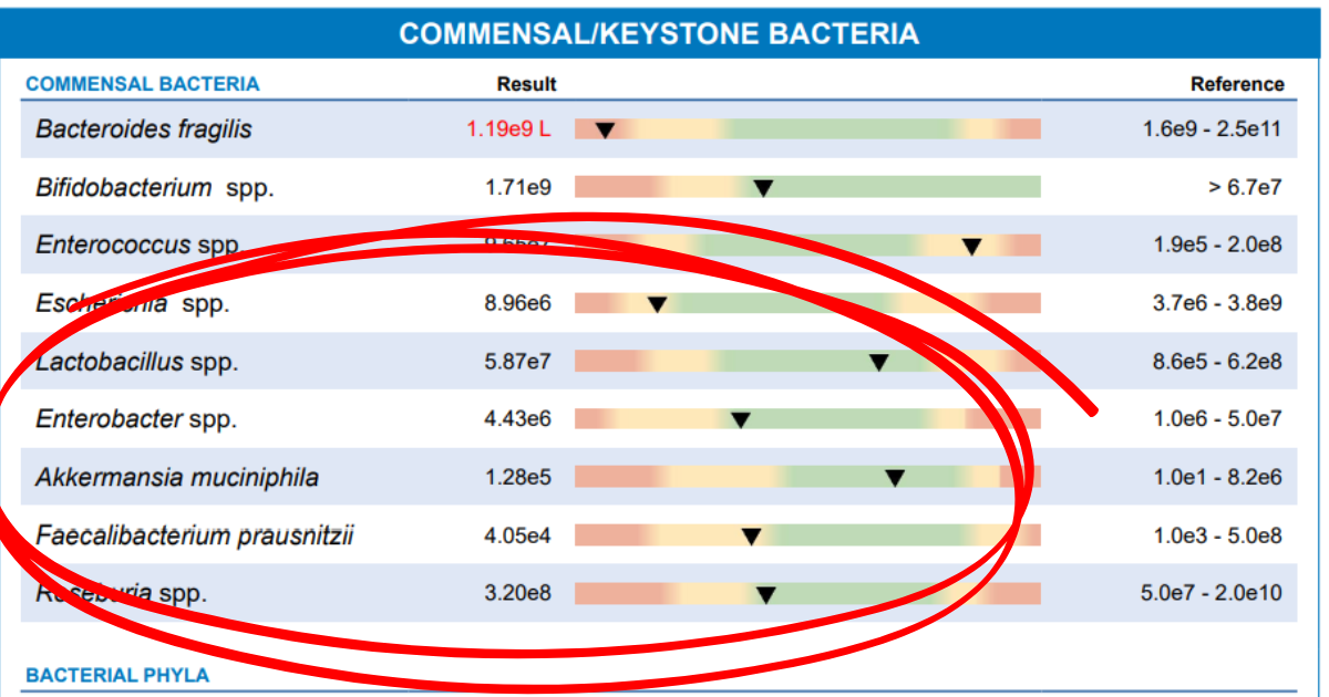 Exame de metabolômica com análise da taurina