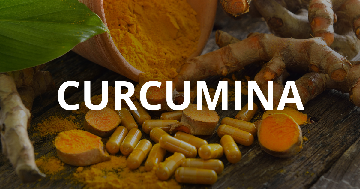 Curcumina 95% curcuminoides em cápsulas