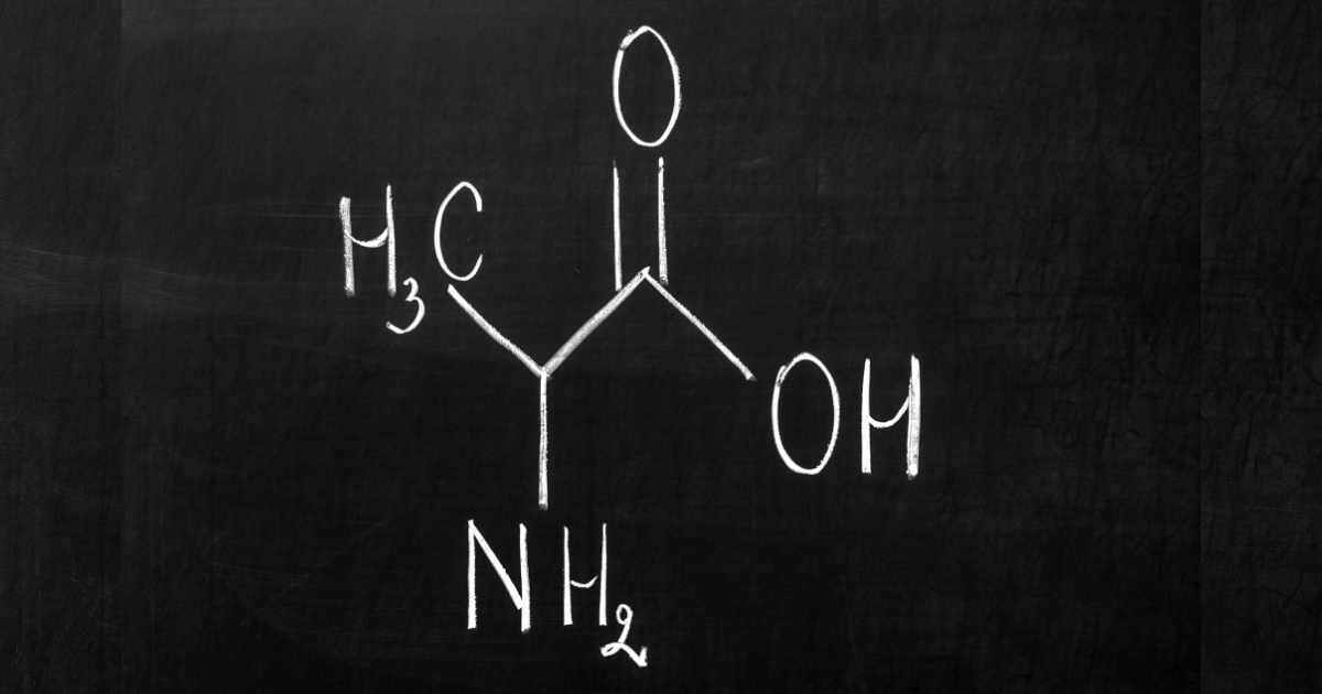 Metabolismo da alanina no corpo humano