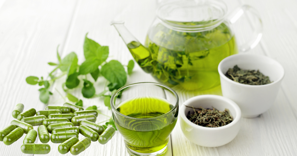 EGCG do chá verde em cápsulas