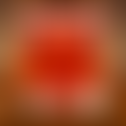 Recibo contendo Bisfenol A