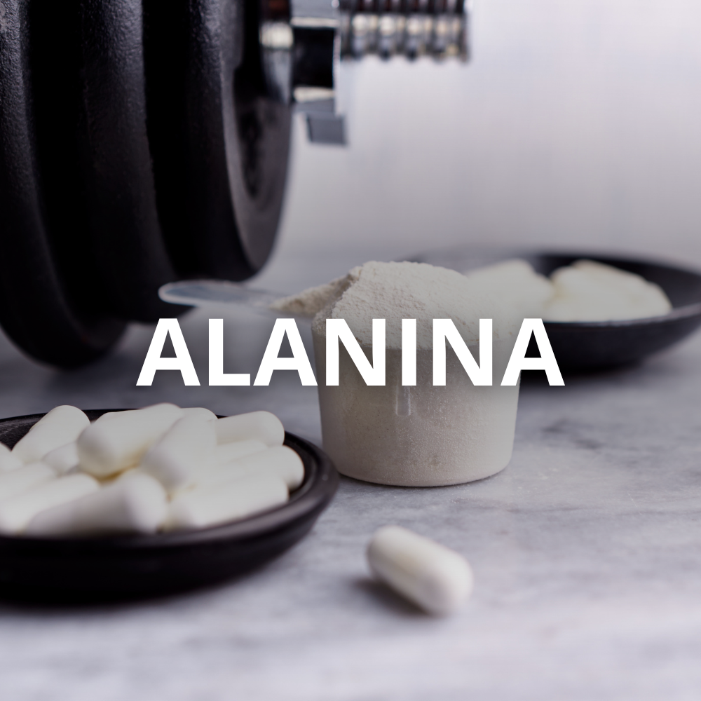 Metabolismo da alanina no corpo humano