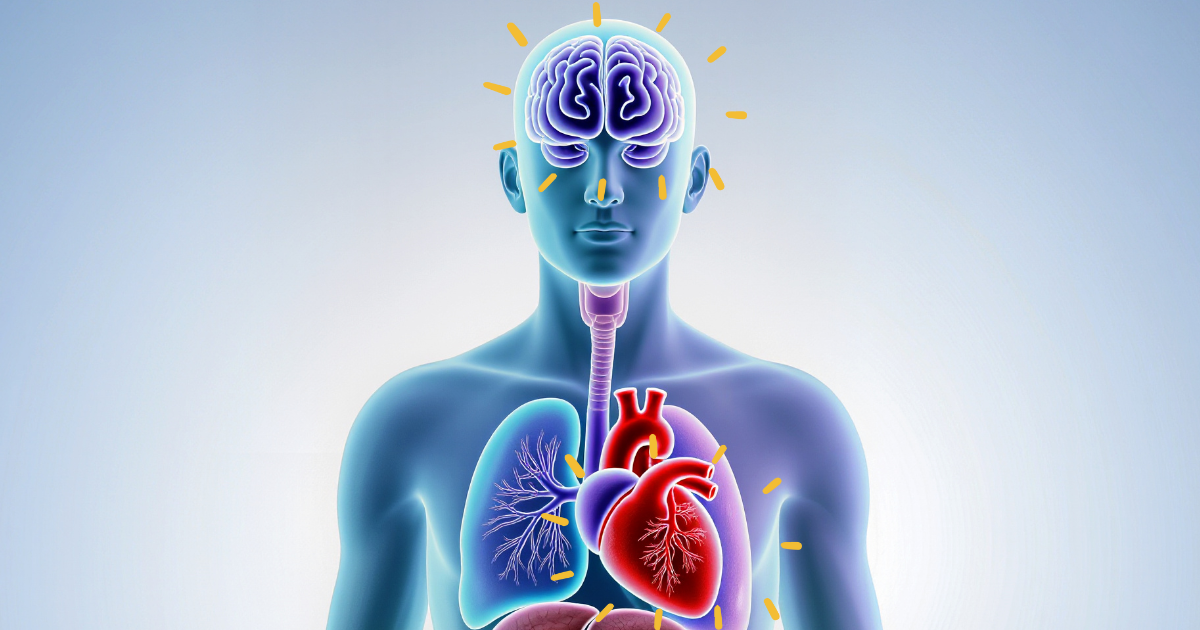 Benefícios da EGCG para o corpo