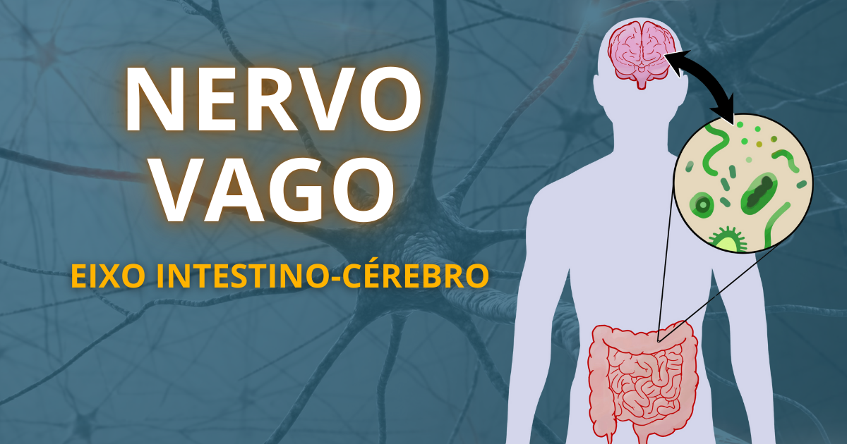 representação do nervo vago no eixo intestino-cérebro