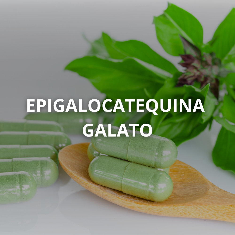 EGCG do chá verde em cápsulas