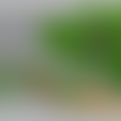  EGCG do chá verde em cápsulas