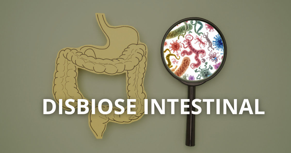 Representação da microbiota intestinal equilibrada