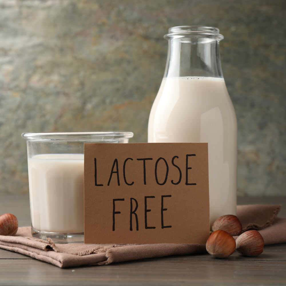 Alternativas de leites vegetais para intolerantes à lactose