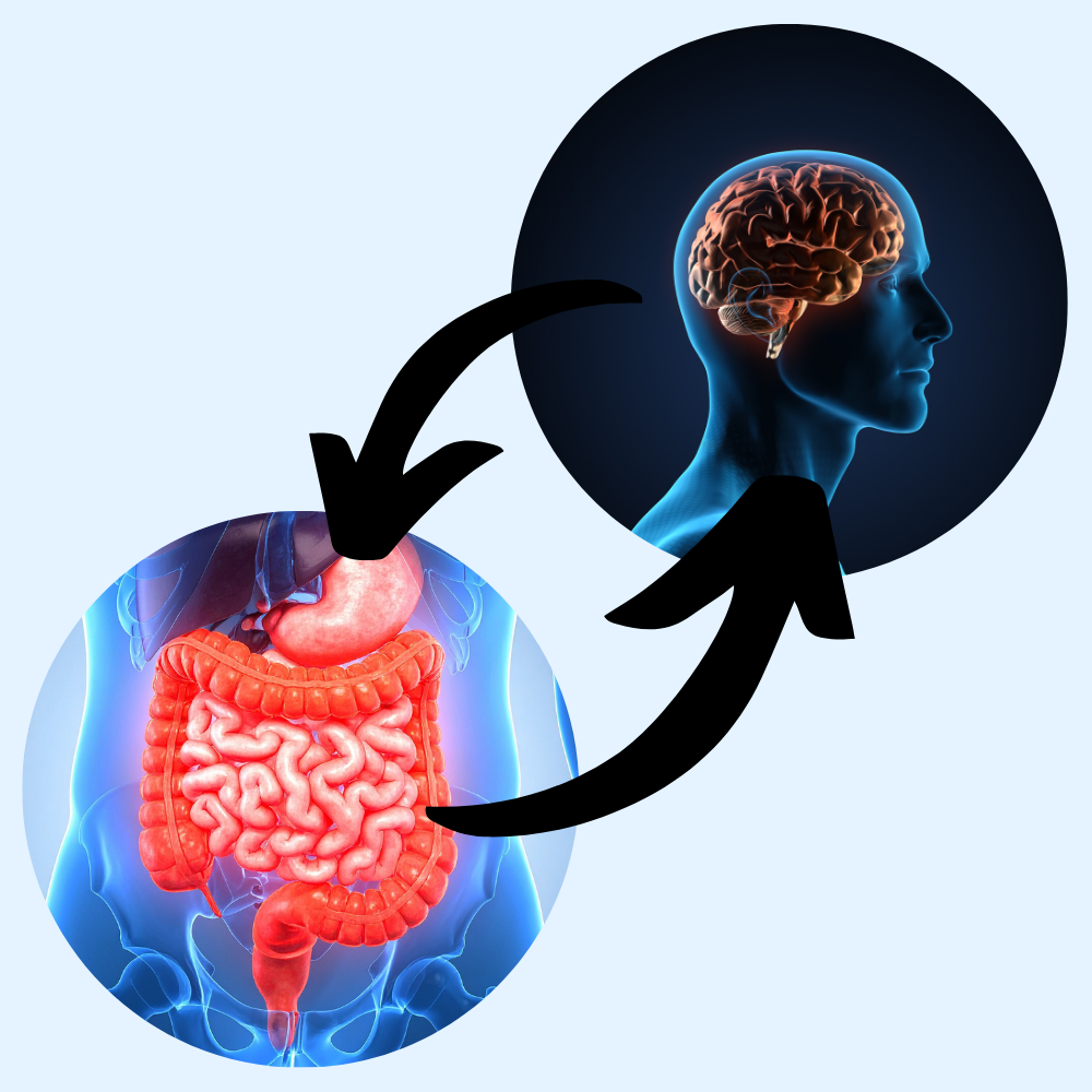 representação do eixo intestino-cérebro saudável