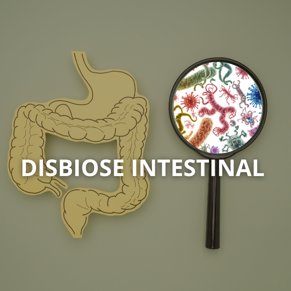 Representação do intestino e do equilíbrio da microbiota intestinal