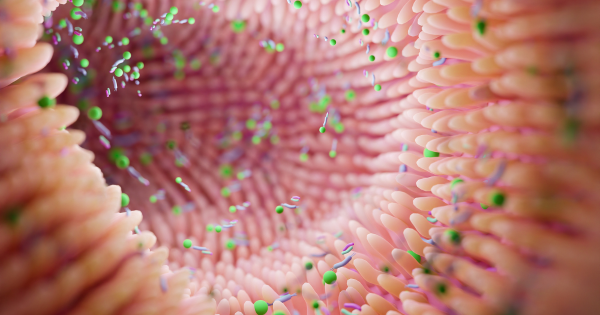 microbioma intestinal equilibrado