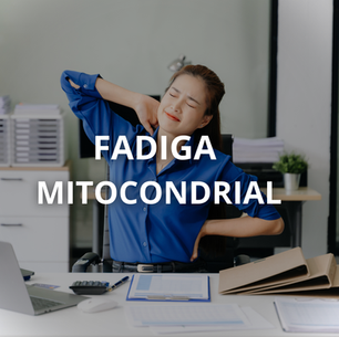 Mitocôndrias e produção de energia celular