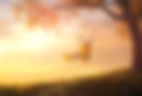 AdobeStock_170263914.jpeg
