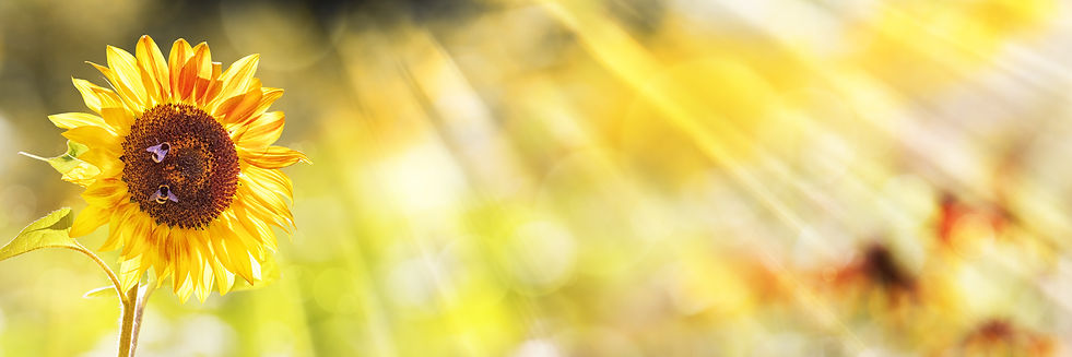 AdobeStock_167381462.jpeg