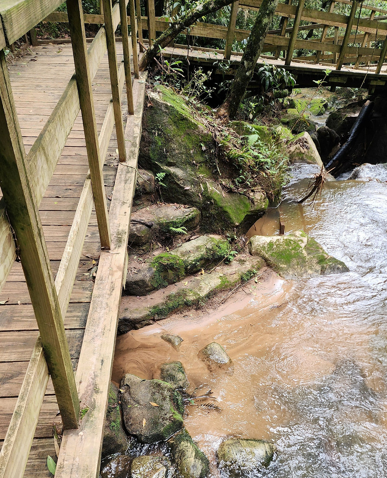 pedras na beira do rio formando uma possível escadaria