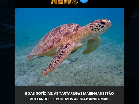 Reavaliação global da conservação das tartarugas marinhas evidencia progresso e persistência de riscos