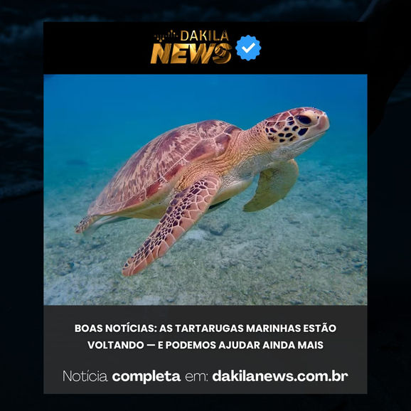 Reavaliação global da conservação das tartarugas marinhas evidencia progresso e persistência de riscos