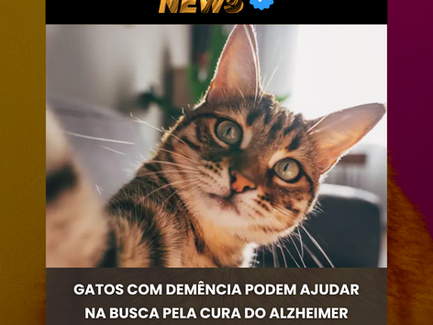 Los felinos ancianos como modelos naturales en la investigación de la patogénesis del Alzheimer