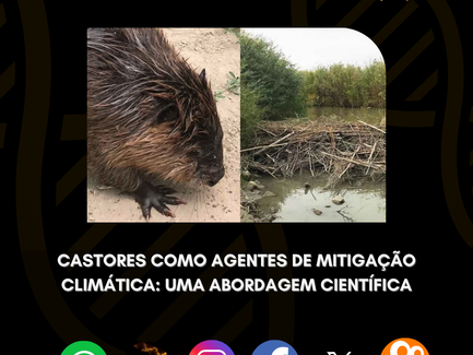 Beavers as Climate Mitigation Agents: A Scientific Approach
