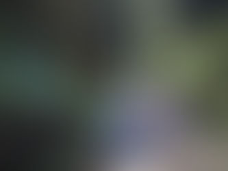 Dakila Pesquisas prossegue investigando resquícios e evidências do Caminho de Peabiru no Paraná 