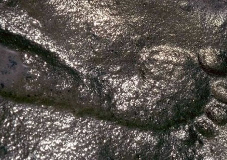 Pegada humana de 290 milhões de anos + Curiosidades de pegadas gigantes