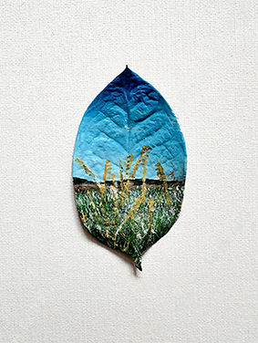 Grass Seed Meadow - Valley Collection