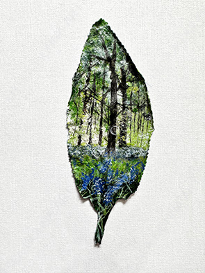 Forest Bells Original Leaf Art