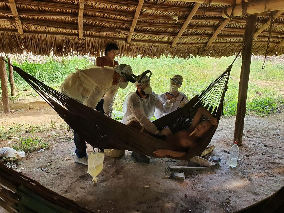 Indigena Ultrassom.jpeg