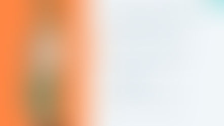 Career in journalism