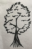 IMG_5817.JPG