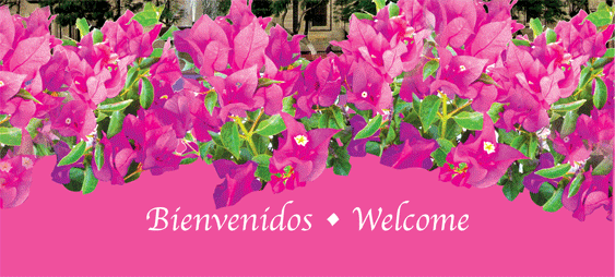 bienvenidos