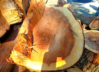 IMG20251130104045_edited_edited.jpg