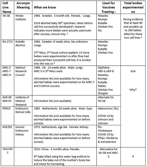 2 Vaccines at a Glance.JPG
