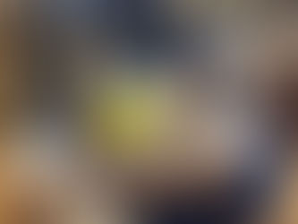 【店内ご紹介】