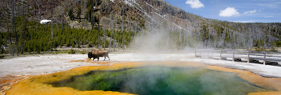 Yellowstone.jpg