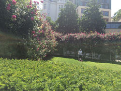 Prague-063