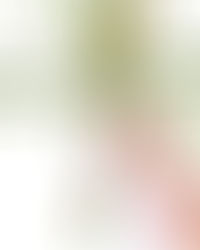 מסיבת הייחורים