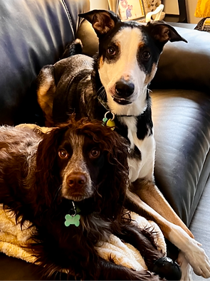 Hartley & Clyde Houston