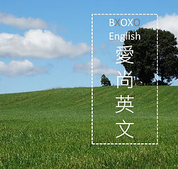 BOX logo and canvas_直.jpg