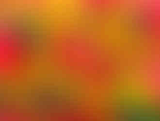 Painting Name