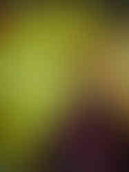 Painting Name