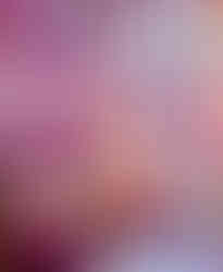 Painting Name