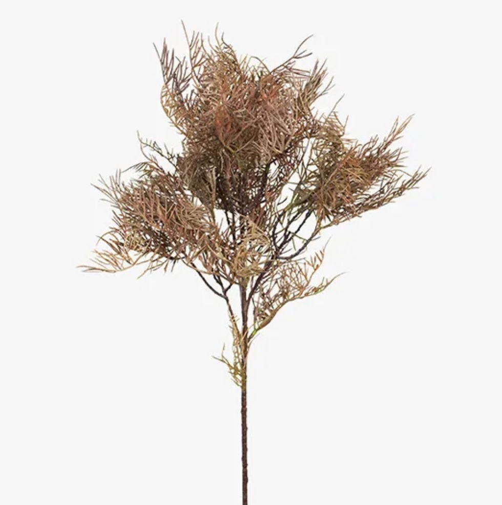 Needle Leaf Spray
