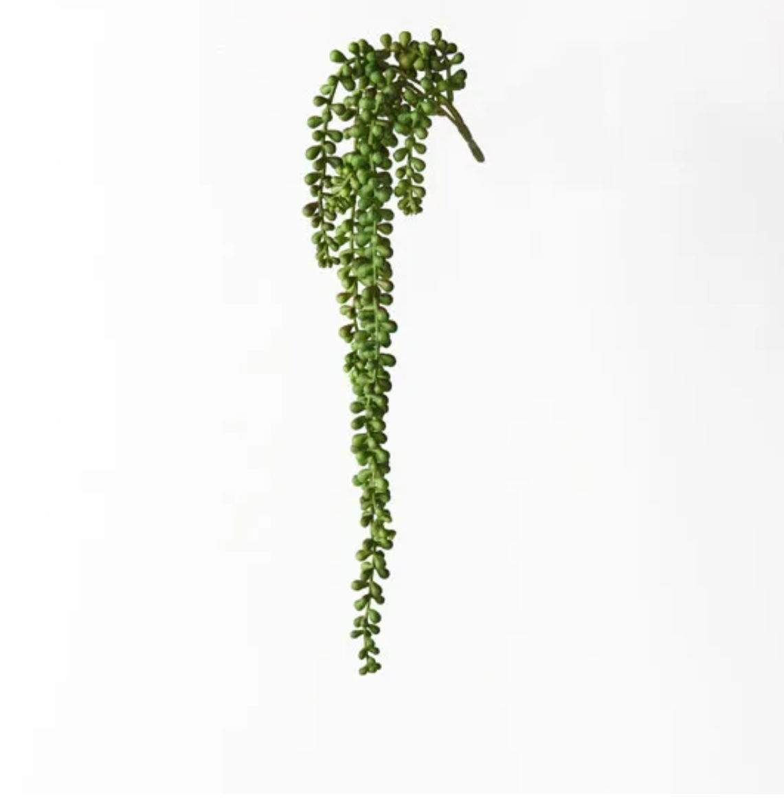 String of Pearls